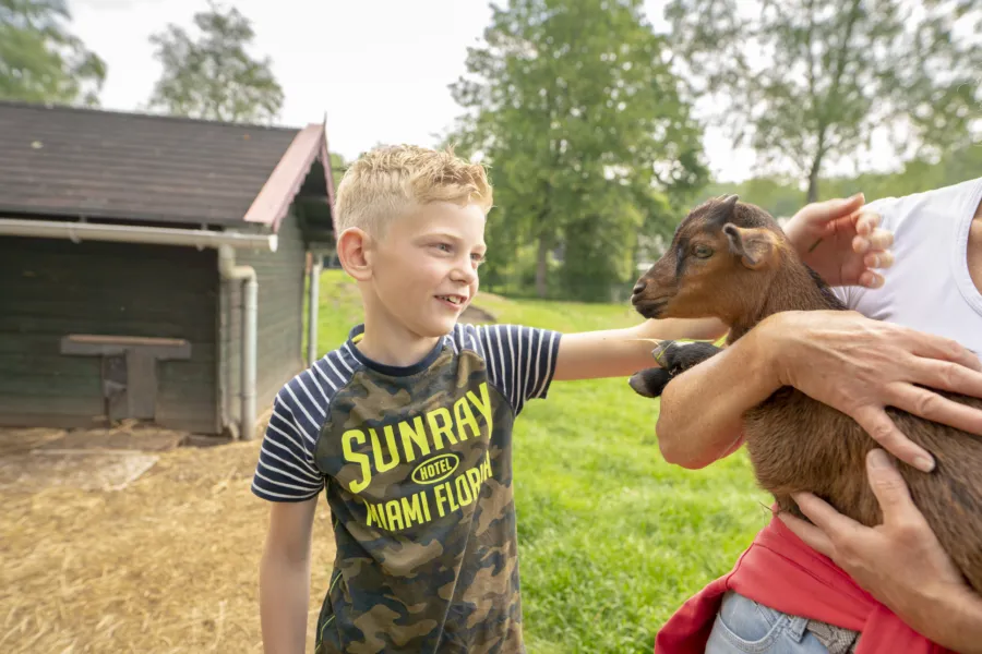 Het Bosmeer kinderboerderij met geit